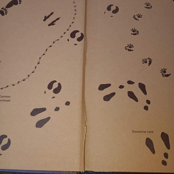 Vintage , national geographic mammal studies 2 part book set , good condition - Picture 8 of 8